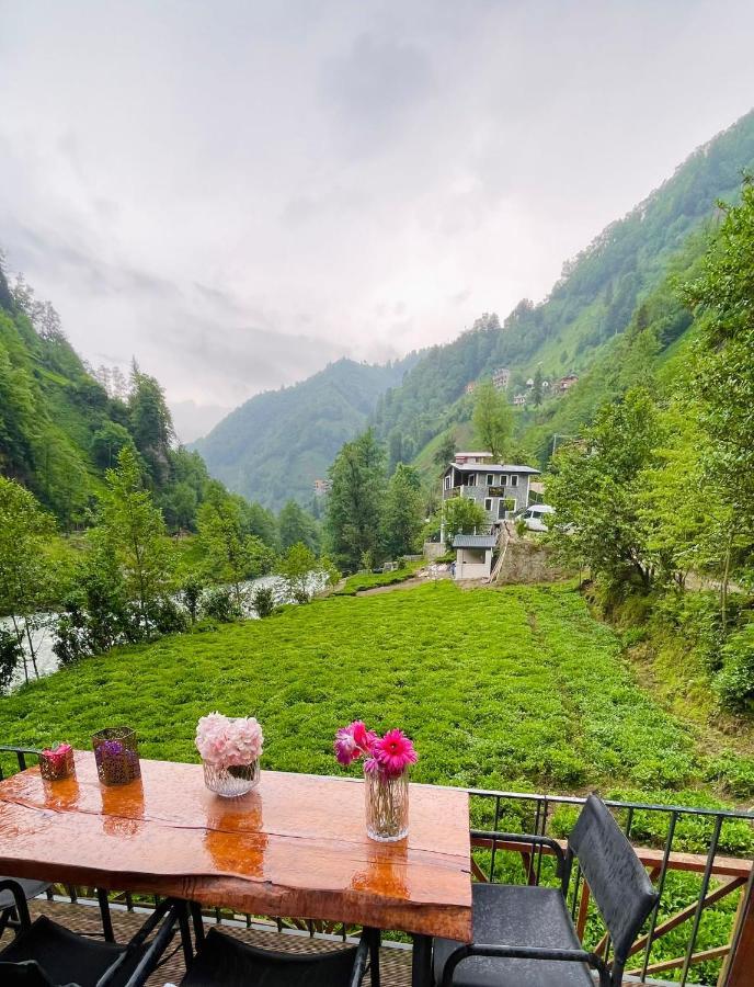 Vagona Tiny House Hotel Rize Ngoại thất bức ảnh